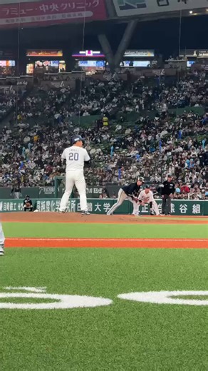 ライオンズファン5日目！！ホーム開幕戦勝利！！２連勝！！林選手ナイバッティン！！やったぜ！！！明日も勝つ！！！#seibulions