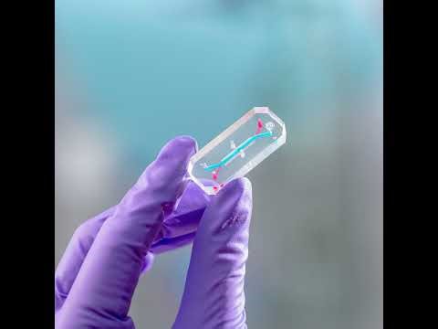 Artemis II’s AVATAR and a sungrazing comet - Planetary Radio