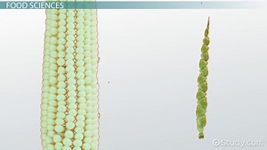 Changes in Science | Evolution, Advancements & Discoveries