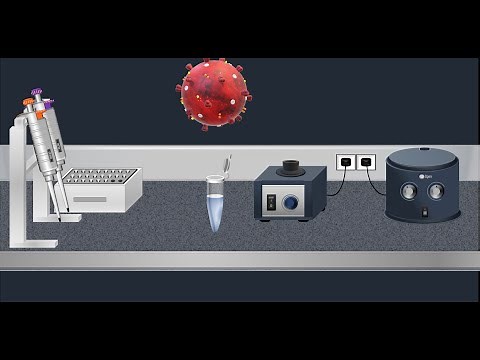 Coronavirus Test: Real time RT-PCR - Animation video