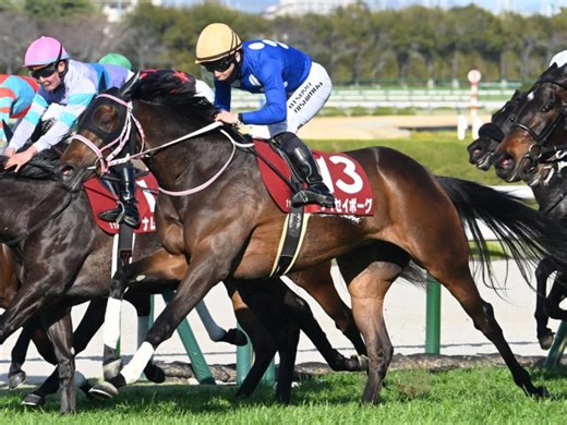 【チューリップ賞結果】タイセイボーグが惜敗続きに終止符！ インディチャンプ産駒のJRA重賞初勝利 | 競馬ニュース - netkeiba