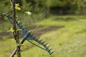 35 Farm Hand Tools And Their Uses — Farm & Animals