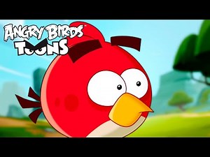 Angry Birds Toons Season 1 | Ep. 21 to 25