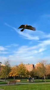 😱 #fblifestyle | The Local Stranger