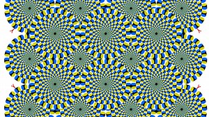 The Rotating Snakes Are All In Your Mind