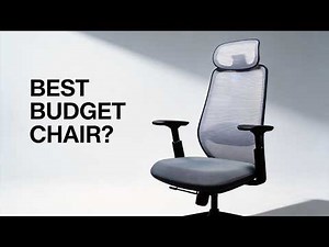ProtoArc EC200 Office Chair Review | Best Budget Ergonomic Chair?
