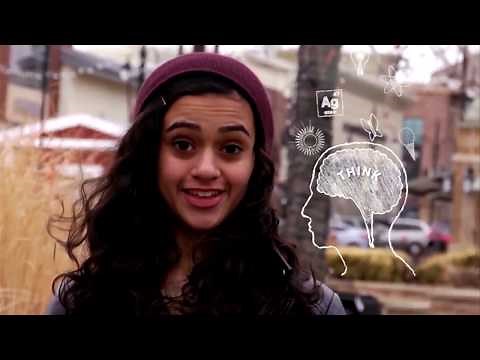 What is Engineering?