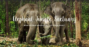 Ethical Elephant Sanctuary in Phuket | EJS
