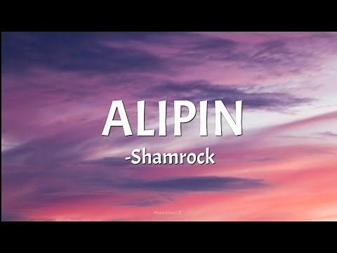 ALIPIN - Shamrock (lyrics)🎵