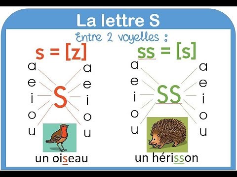 La lettre "S" / le son [s] et le son [z] leçon et exercice