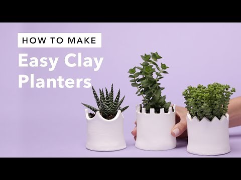 Make a Clay Planter | Easy Pottery Without a Wheel