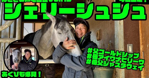 【なぎさの芦毛図鑑】Vol.15 シェリーシュシュ（美浦・大竹正博厩舎）