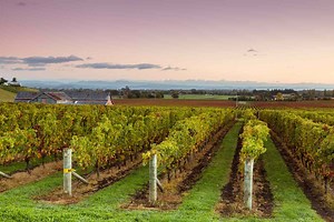 7 Places Locals Love in New Zealand, From Lakes and Vineyards to Incredible Islands