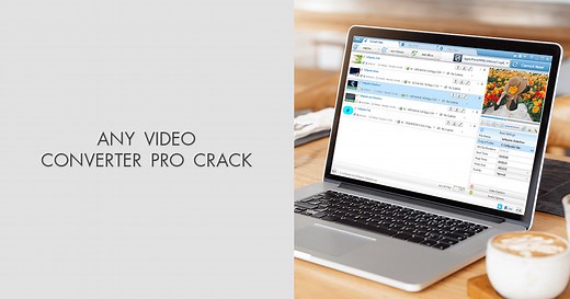 Any Video Converter Pro 7.1.8 Cracked Format Limits