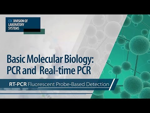 Basic Molecular Biology: PCR and Real-Time PCR – RT-PCR Fluorescent Probe-Based Detection