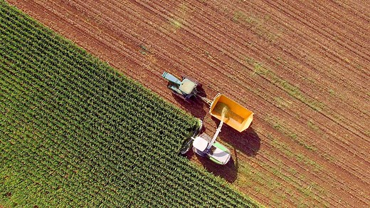 AI and the future of agriculture | IBM