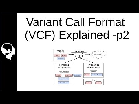 Understanding VCF file | Variant Call Format Part 2/3