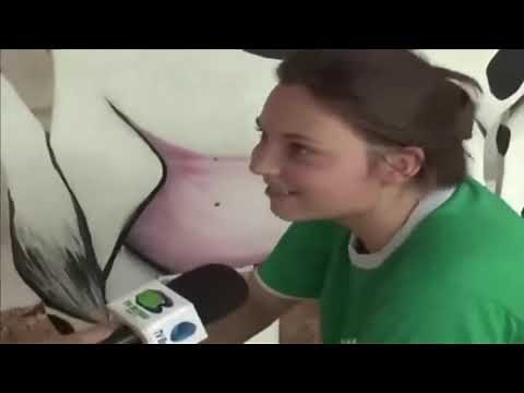 PACK COM OS MELHORES MEMES PRA EDIÇÃO DE VÍDEOS (PARTE 1)