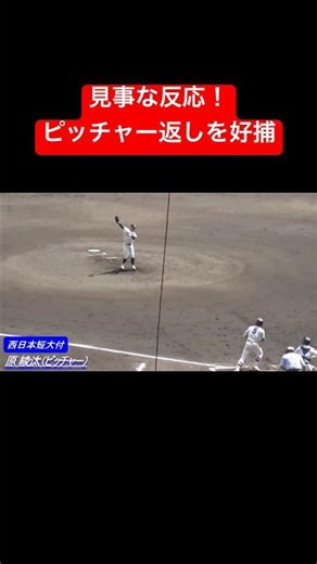 ピッチャー返しを好捕！素晴らしい反応 #高校野球 #野球 #甲子園 #好プレー #ファインプレー #shorts