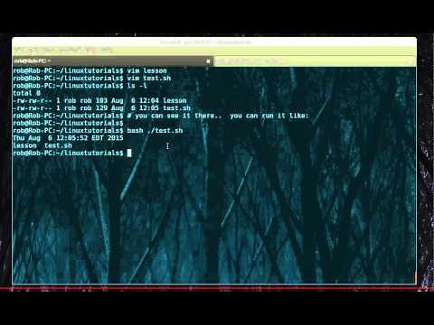 How to run a .sh file in Linux