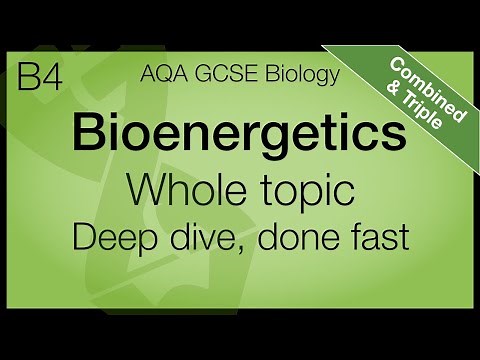 AQA GCSE Biology - Bioenergetics | Whole Topic | Combined and Triple Science