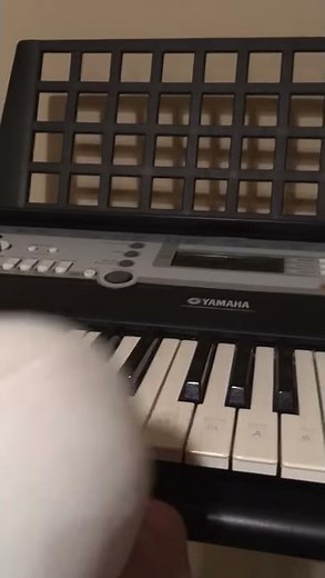 sans plays the first four notes of the song megalovania from the video game undertale by toby fox