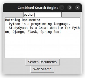 Build Your Search Engine Project with Python: Document & Web Search