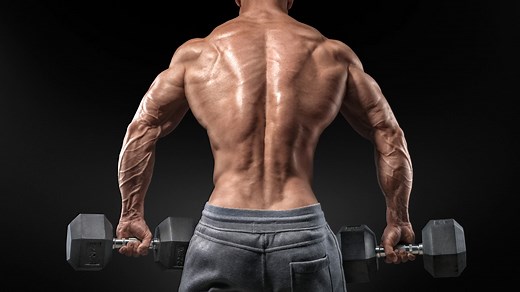 12 Best Dumbbell Back Exercises and Workouts – Fitness Volt