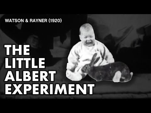 The Little Albert Experiment | Watson & Rayner (1920)