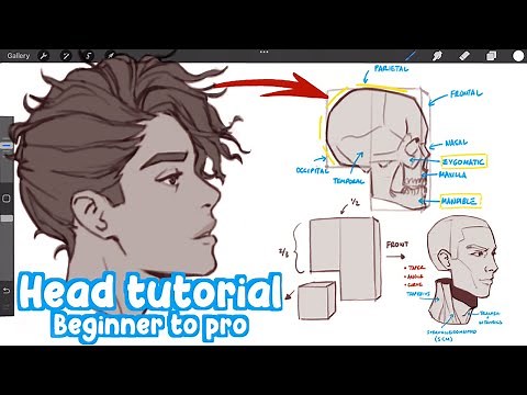 the EASIEST way to learn drawing Heads! (Beginner to Pro) | Full Drawing Process - Real Time