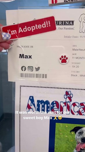 Max Finds His Forever Family! Joyful Day at the Humane Society of Broward County