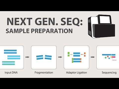2) Next Generation Sequencing (NGS) - Sample Preparation