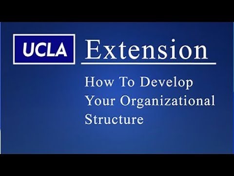 Business Organizational Structure