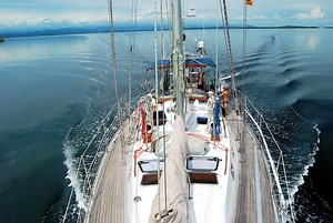 Any Video Cutter 1.0.4