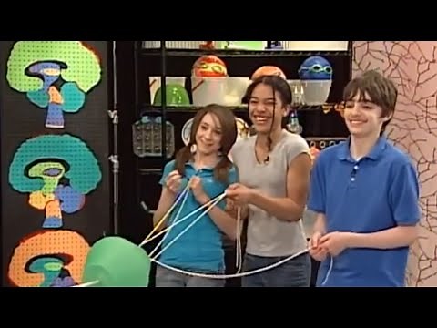 BrainWorks: Neuroscience for Kids