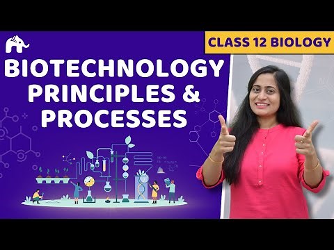 Biotechnology:Principles & Processes Class 12 Biology| NCERT Chapter 11 | CBSE NEET