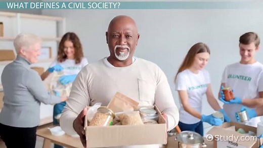 Civil Society | Definition, Organization & Importance