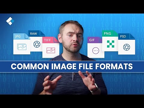 Common Image File Formats and Their Differences