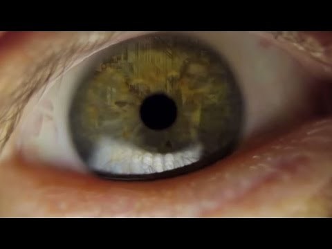 Mindfulness: Being Fully Awake in Our Own Lives