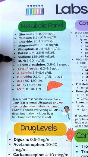 Basic & Comprehensive Metabolic Panel BMP & CMP blood tests body's metabolism overall health