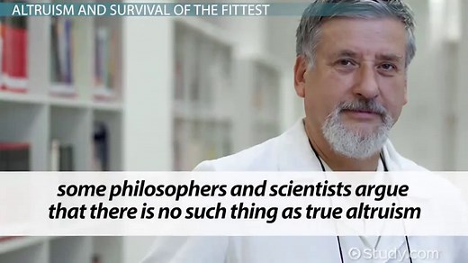 Altruism | Definition, Behavior & Examples