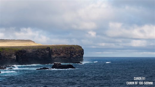 Canon EOS R1 Video Review: Worth It? | Fstoppers