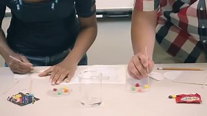 Candy Chromatography Science Project | Candy Experiment