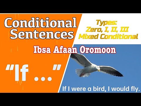 Learn All 4 English Conditionals Easily!