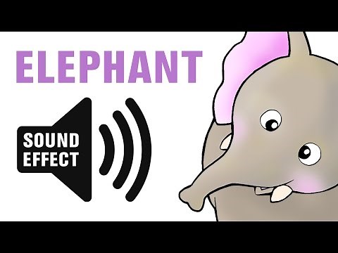 Elephant Sound Effect - Trumpet