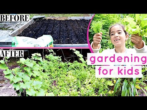 HOW TO START A GARDEN | Gardening for kids
