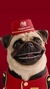 Got a trip coming up? Download our app for great deals on thousands of hotels worldwide! | Hotels.com