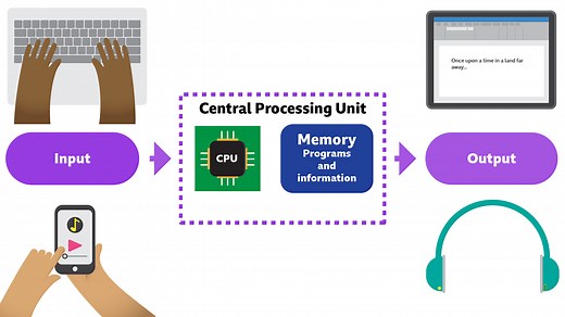 Inputs and outputs - BBC Bitesize