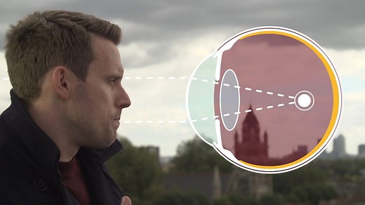 Biology revision for GCSE - Video playlist - BBC Bitesize