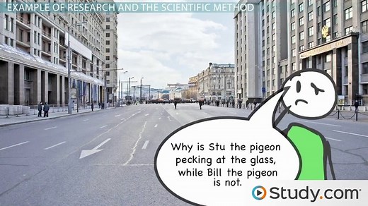 Research | Definition, Purpose & Types